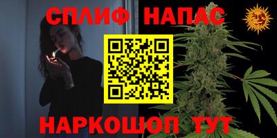 СК Тара