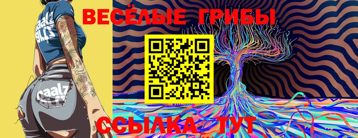 купить наркотики сайты  Псилоцибиновые грибы прущие грибы  Вход с VPN  Псилоцибиновые грибы Psilocybe  Аргун 