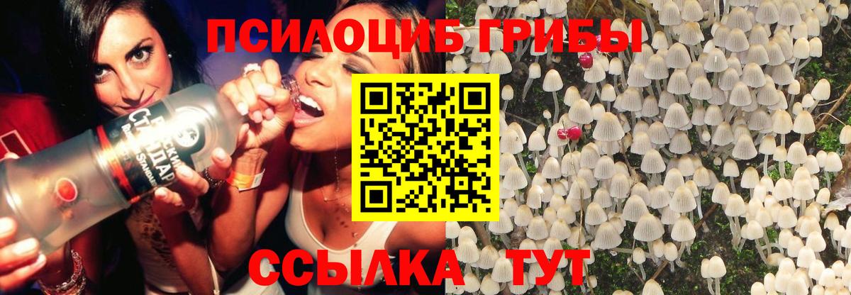 Галлюциногенные грибы Magic Shrooms Аргун